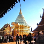 3 Day More than just Treehouse Good View +Doi Inthanon +Doi Suthep +Elephants +Hill Tribes