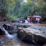 Half Day Morning Elephant Sanctuary Tour at Blue Tao Elephant Village, Jungle Waterfall Hiking