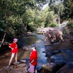 Visit Blue Elephant Thailand Tours Office in The Chiang Mai City