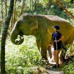 Full Day Sticky Waterfall and Elephant Waterfall Hiking Tour + Rafting + Lunch in Treehouse 