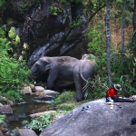 2 Day Chiang Mai Authentic Hill Tribes +Elephant Waterfall Hiking +Zipline +Bamboo Rafting 