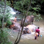 Full Day Doi Inthanon + Mae Ya Waterfalls + Elephant Waterfall Hiking + Lunch in Treehouse 