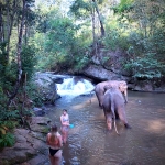 Full Day Long Neck Karen Chiang Mai +Elephant Waterfall Hiking +Rafting +Lunch in Treehouse 