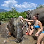 Full Day Sticky Waterfalls + Chiang Dao Cave + White Water Rafting + Elephant Jungle Hiking