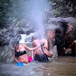 Full Day Doi Inthanon + Mae Ya Waterfalls + Elephant Waterfall Hiking + Lunch in Treehouse 