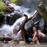 All Day Elephant Sanctuary Tour Chiang Mai at Blue Tao Elephant Village, Large Waterfall Hiking