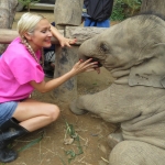 Un DÃ­a Elefante interacciÃ³n en Blue Tao + Bamboo rafting + Cascada Mae Tien.