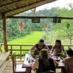 Un DÃ­a Elefante interacciÃ³n en Blue Tao + Bamboo rafting + Cascada Mae Tien.