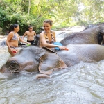 Un DÃ­a Elefante interacciÃ³n en Blue Tao + Bamboo rafting + Cascada Mae Tien.