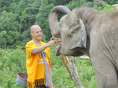 chiang mai elephant tours gallery