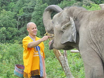 chiang mai elephant tours gallery