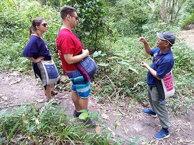 chiang mai elephant tours gallery