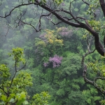 Full Day Elephant Care Large Waterfall Walk in Blue Tao, Lunch In Treehouse Above Waterfall