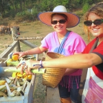 Half Day Morning Ethical and Hands-Off Elephant Sanctuary Tour, Go Waterfall Trail in Blue Tao