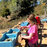 Half Day Afternoon Ethical and Hands-Off Elephant Sanctuary Tour, Go Waterfall Trail in Blue Tao