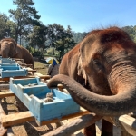 Full Day Chiang Mai Rainbow Cave Tour + Elephant Waterfall Walk + Bamboo Rafting 