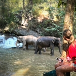 Half Day Morning Ethical and Hands-Off Elephant Sanctuary Tour, Go Waterfall Trail in Blue Tao