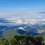 Doi Inthanon Half Day Tour with Romantic Lunch or Dinner in Treehouse Good View