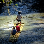 3 Day More than just Treehouse Good View, Doi Inthanon, Doi Suthep, Elephant, Cave, Hill Tribe