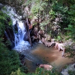 Full Day Elephant Care Large Waterfall Walk in Blue Tao, Lunch In Treehouse Above Waterfall