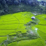 Full Day Chiang Mai Rainbow Cave Tour +Elephant Waterfall Walk +Rafting +Lunch Treehouse 