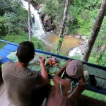 All Day Elephant Forest Expedition, Go Large Waterfall Walk With Elephants in Blue Tao 