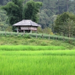 2 Day Chiang Mai Authentic Hill Tribe Village, Elephant Sanctuary, Waterfall, Rafting, Big Buddha
