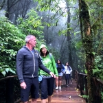 Full Day Doi Inthanon and Elephant Sanctuary Tour, Bamboo Rafting, Lunch in Treehouse 