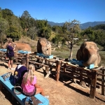 Half Day Afternoon Ethical and Hands-Off Elephant Sanctuary Tour, Go Waterfall Trail in Blue Tao