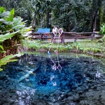 Full Day Sticky Waterfall and Elephant Tour Waterfall Walk + Rafting + Lunch in Treehouse 