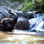 Full Day Sticky Waterfall and Ethical Elephant Sanctuary Tour, 2 Waterfalls Walk with Elephants