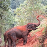 Full Day Chiang Mai Rainbow Cave Tour + Elephant Waterfall Walk + Bamboo Rafting 
