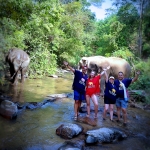 Half Day Morning Ethical and Hands-Off Elephant Sanctuary Tour, Go Waterfall Trail in Blue Tao
