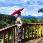 2 Day Luxury Treehouse Good View Chiang Mai + Elephant Large Waterfall Hiking + Rafting 