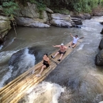 Full Day Doi Inthanon and Elephant Sanctuary Tour, Bamboo Rafting, Lunch in Treehouse 
