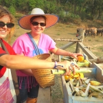 Full Day Doi Inthanon and Elephant Sanctuary Tour, Bamboo Rafting, Lunch in Treehouse 